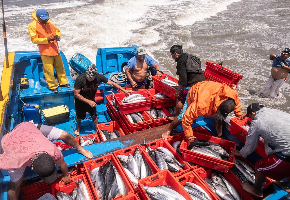 Pescadores artesanales en la costa