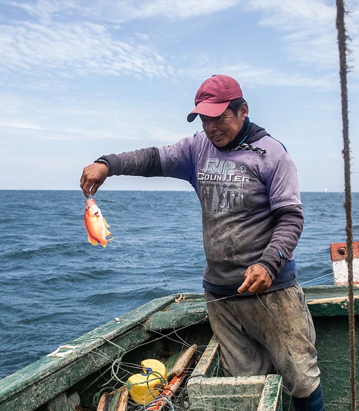 Pescador artesanal aplicando técnicas tradicionales