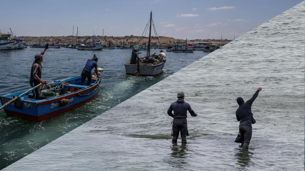 Pesca artesanal y no embarcada