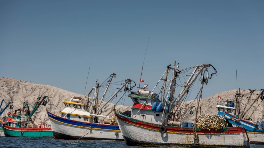 Pesca de menor escala
